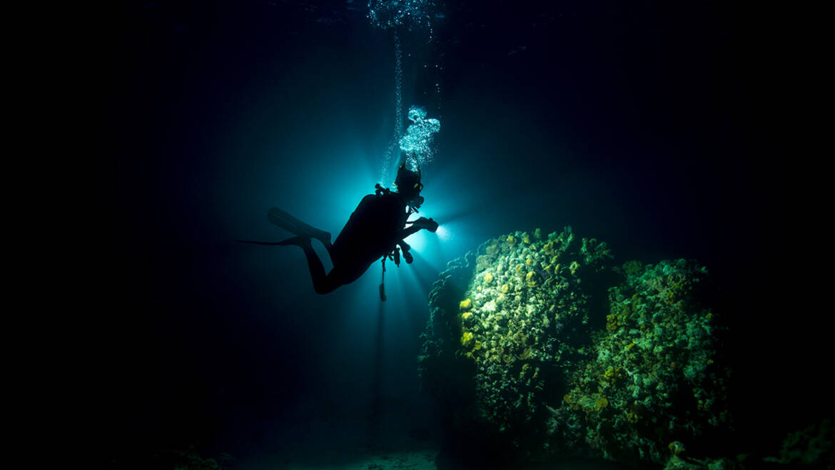 Buceo Nocturno